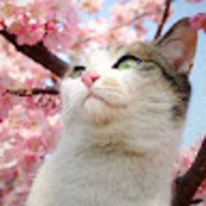 Meet your Posher, Lxdyleo